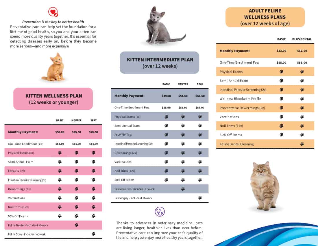 Feline Wellness Plans